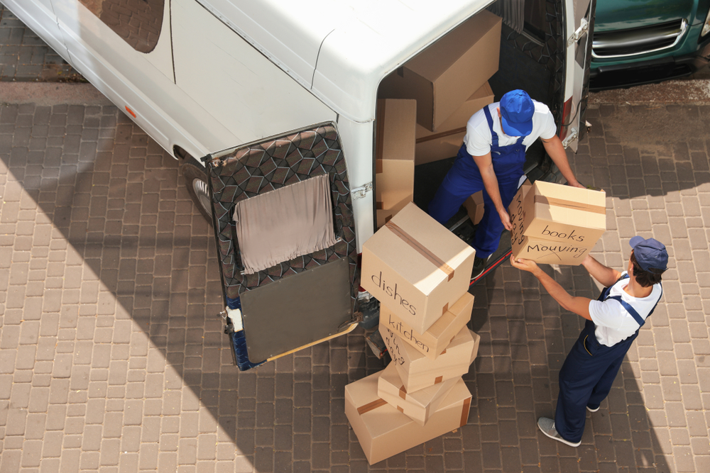 Home | cardiff removals is also expert in transporting the goods